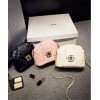 PBB8480 Elegant new style chains plum blossom button shell messenger bag