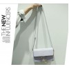 PBB8493 Europe fashion star style crocodile pattern chains messenger bag