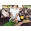 TE9920WJYS Princess lace splicing off shoulder shirt