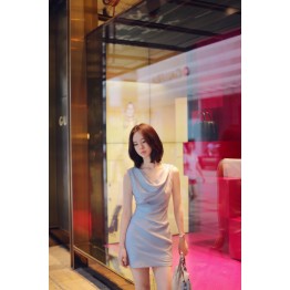 TE1295GJWL Elegant temperament Korean fashion slim dress