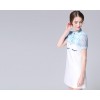 TE9648LLYG New style fresh embroidery contract color short sleeve dress