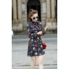 TE5238HM Print slim waist long sleeve dress