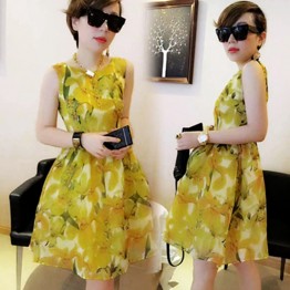 TE8119LYWL Fashion organza print sleeveless bubble dress