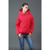 TE6667YYM Winter thicken casual sport style cotton-padded down coat with cap