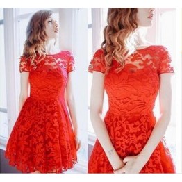 TE8713EQFS Hot sale Europe fashion round neck lace dress