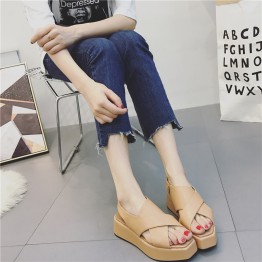 17 new summer with fish mouth sandals side zipper thick bottom shoes British wind muffled with Roman shoes