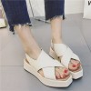 17 new summer with fish mouth sandals side zipper thick bottom shoes British wind muffled with Roman shoes