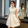 1010 real shot 2017 autumn collar straight sleeves dress improved cheongsam collar lace silk empty dress female