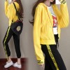 8611 sports and leisure fashion long sleeve jacket with pants