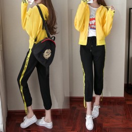 8611 sports and leisure fashion long sleeve jacket with pants