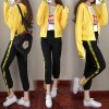 8611 sports and leisure fashion long sleeve jacket with pants