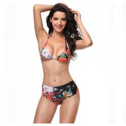 G0019 bikini Chinese style printed swimsuit